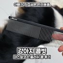 코소랑 | 장모종 강아지 콤빗 일자빗 마스알코소 플러쉬콤 후기