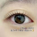 누니래쉬 이미지
