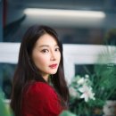 스튜디오보리 Daum카페