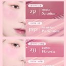 세레니타스 이미지