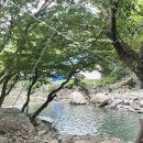 성주미니펜션 | 충남 가볼만한곳 보령 성주계곡 성주미니펜션 당일치기 [평상, 수심, 백숙]