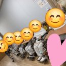 효드림요양병원 이미지