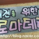 푸른하늘동물병원 네이버블로그