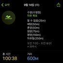 아누에 이미지