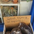 강서경찰서 카페 | 서울 강서구청 오곡라떼 맛있는 카페 '풀업커피 강서구청점'