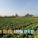 화원 청용리 이미지