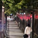 서래로6길 16 | 놀고 싶은 직장인의 중간고사, 10월 넷째 주 주간일기