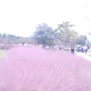 하단동1142 이미지