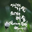 산다는건 기술 웃는다는건 예술 이오범 이미지