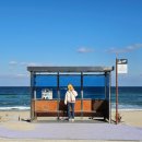 수산목장 | 주문진 수산시장 맛집 중앙집식당 곰치국 강릉 일출 여행