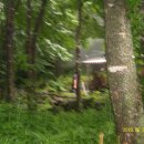 산속골농장 이미지