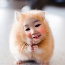 벨르마카롱 이미지