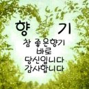 휠박사