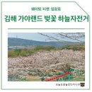 2025 김해 가야랜드 벚꽃 하늘자전거 방문후기