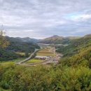 차 향기 이미지