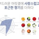 안젤리카헤어