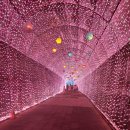 부산대학교 밀양캠프스 학생구내식당 | [부산사람 밀양 여행하기]밀양 트윈터널 입장료/주차장/예약할인