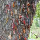 서민여인숙 이미지