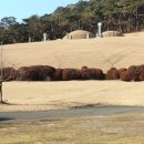 광주이씨묘역 이미지