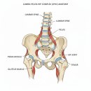 지에스(GS)25 북위례경서점 | [공지] 학암동헬스장) PT라잍- 25년 12월의 후기