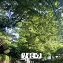 현대원서공원 네이버블로그