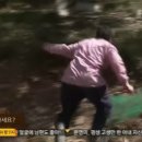 더백야드 이미지