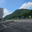 정아애견 이미지