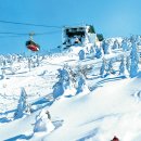 브이아이피여행사 이미지