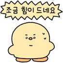 마티나로스팅커피머신 네이버블로그