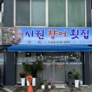 시원향어횟집