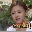 다포아라 이미지