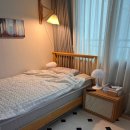 진리세탁 이미지