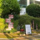 양산카페 : 통도사 근처 부모님과 가기 좋은 한옥카페 ‘백록림’ 내돈내산