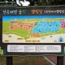 솔방울캠핑장 이미지