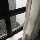 하도리 보통날 이미지