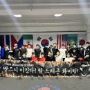 팀 드래곤 복싱 이미지