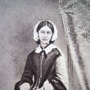 안녕 나이팅게일 이미지