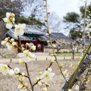 바람의말 이미지