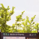 직동교 이미지