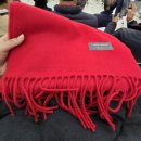 진성세탁 | 12월 2주차 주간일기