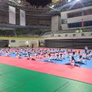 국가대표 울림태권도 이미지