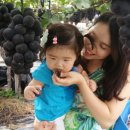 소라농장 이미지