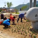 읍내1통 이미지