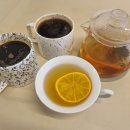 커피 앤 플라워 | 말레이시아 한달살기 쿠알라룸푸르 핫플 카페 파인 앤 플라워