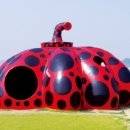 출발~ 삼국시대 여행 이미지