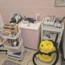 코지펫살롱 이미지