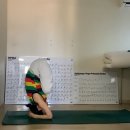 소림성 이미지