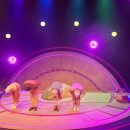 어린왕자B612 이미지