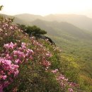 합천터미널화장실 이미지