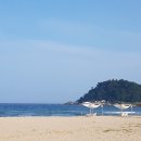 동해바다 이미지